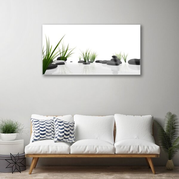 Quadro di vetro Pietre Erba Arte 100x50 cm 2 appendini