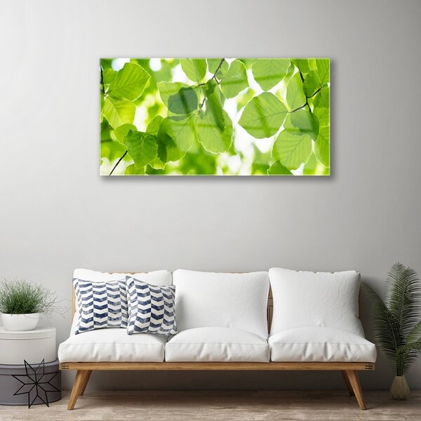 Quadro su vetro Foglia Natura Pianta 100x50 cm 2 appendini