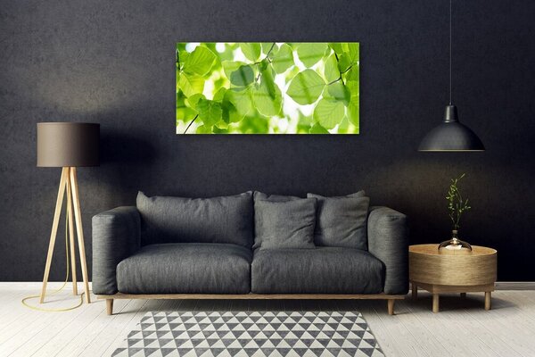 Quadro su vetro Foglia Natura Pianta 100x50 cm 2 appendini