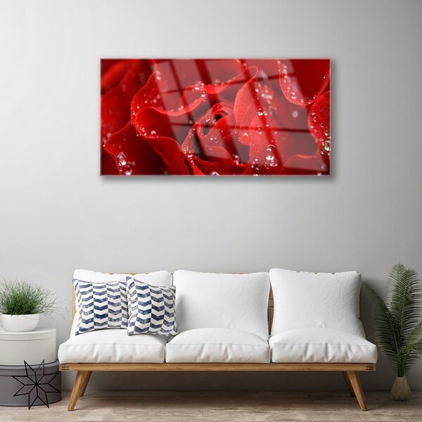 Quadro su vetro Fiore di rosa pianta naturale 100x50 cm 2 appendini