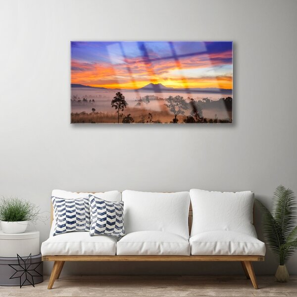 Quadro su vetro Alberi Nebbia Paesaggio 100x50 cm 2 appendini