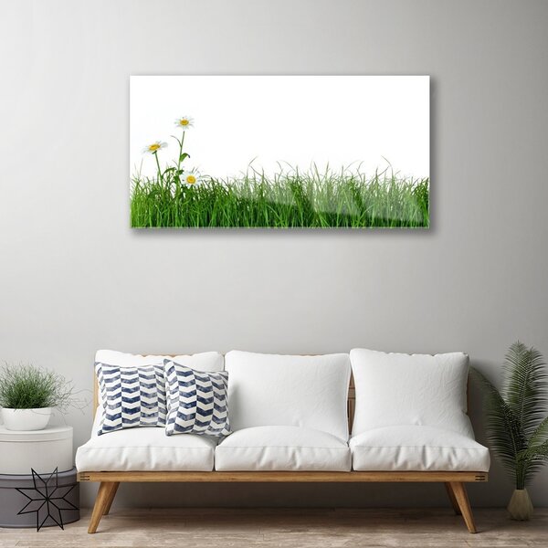 Quadro in vetro Erba Natura Pianta 100x50 cm 2 appendini