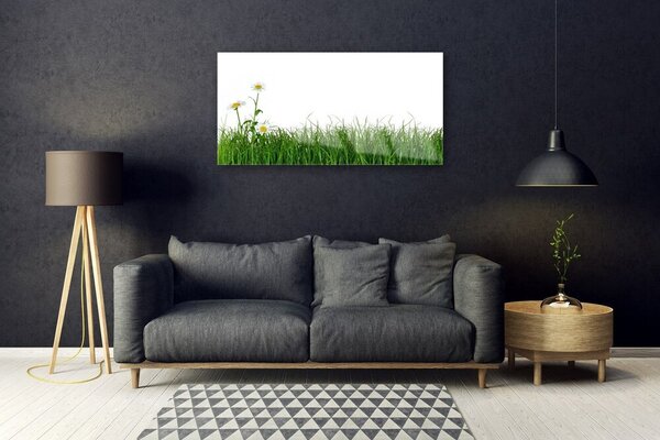 Quadro in vetro Erba Natura Pianta 100x50 cm 2 appendini