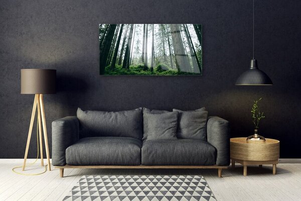 Quadro in vetro Foresta Natura Alberi 100x50 cm 2 appendini