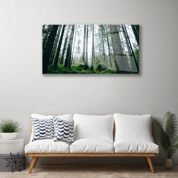 Quadro in vetro Foresta Natura Alberi 100x50 cm 2 appendini