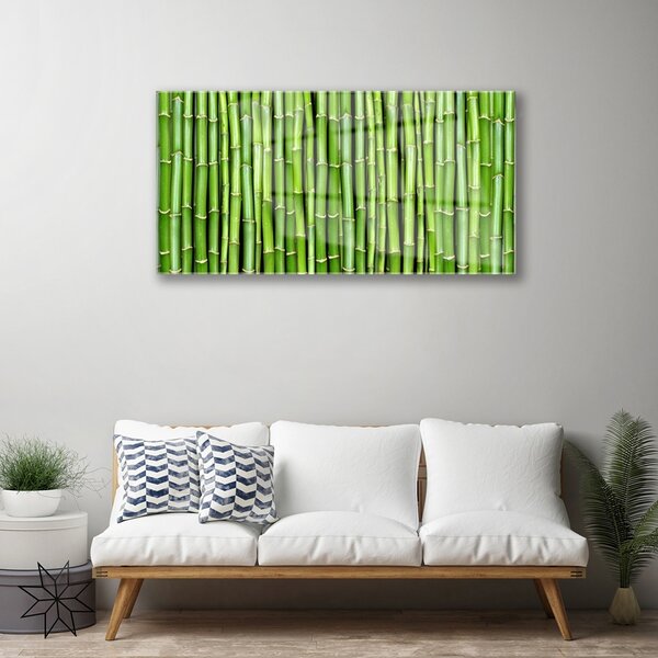 Quadro vetro Pianta di fiori di bambù 100x50 cm 2 appendini