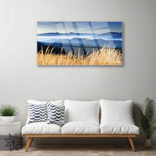 Quadro di vetro Paesaggio di campo 100x50 cm 2 appendini