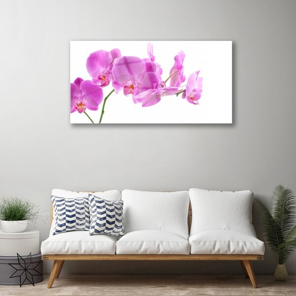 Quadro in vetro Fiori Pianta naturale 100x50 cm 2 appendini