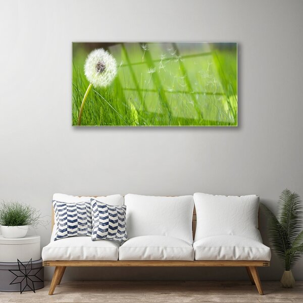 Quadro vetro Pianta di erba soffiata 100x50 cm 2 appendini