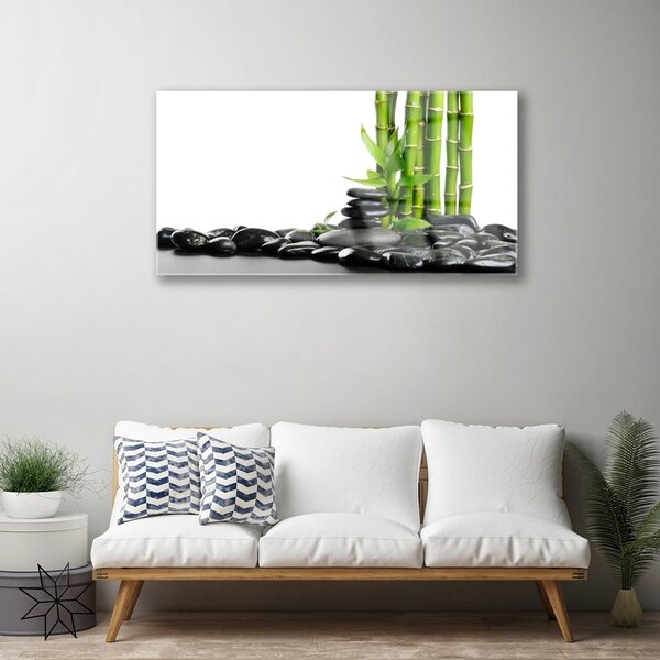 Quadro di vetro Bambù Bella Grafica 100x50 cm 2 appendini