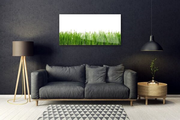 Quadro vetro Erba Natura Pianta 100x50 cm 2 appendini