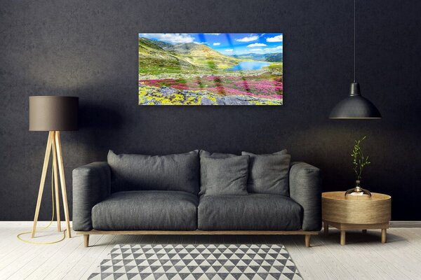 Quadro di vetro Baia di montagna Prato Natura 100x50 cm 2 appendini