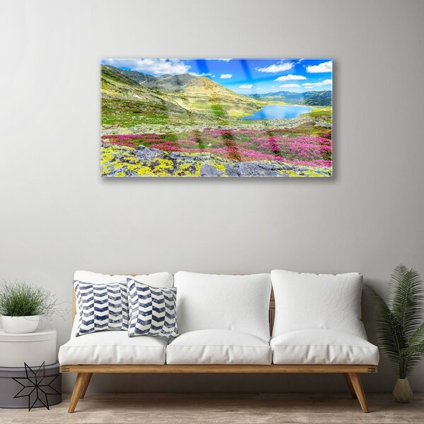 Quadro di vetro Baia di montagna Prato Natura 100x50 cm 2 appendini