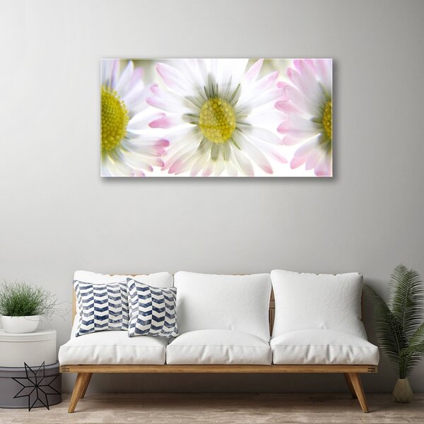 Quadro vetro Pianta naturale margherita 100x50 cm 2 appendini