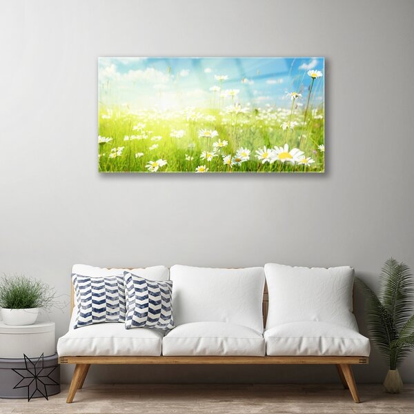 Quadro su vetro Daisy Meadow Natura 100x50 cm 2 appendini