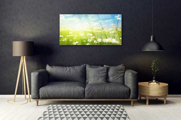 Quadro su vetro Daisy Meadow Natura 100x50 cm 2 appendini