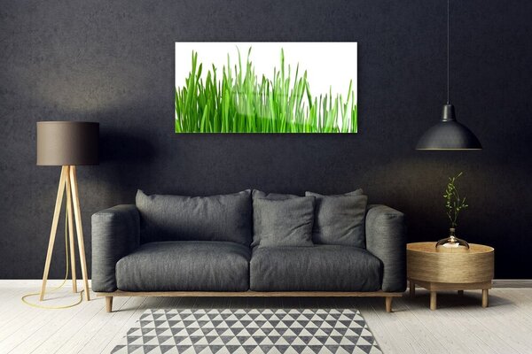 Quadro in vetro Erba Pianta Natura 100x50 cm 2 appendini