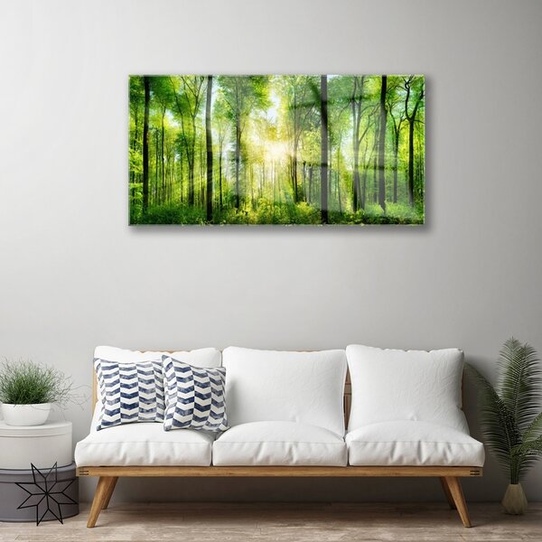 Quadro vetro Foresta Natura Alberi 100x50 cm 2 appendini
