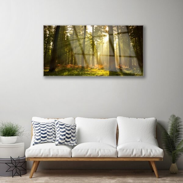 Quadro in vetro Foresta Natura Alberi 100x50 cm 2 appendini
