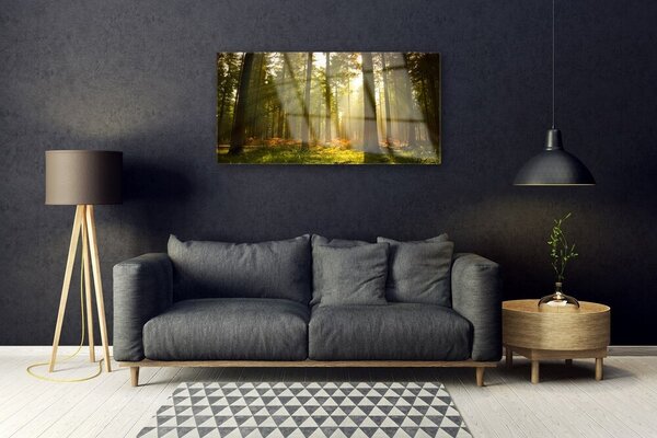 Quadro in vetro Foresta Natura Alberi 100x50 cm 2 appendini