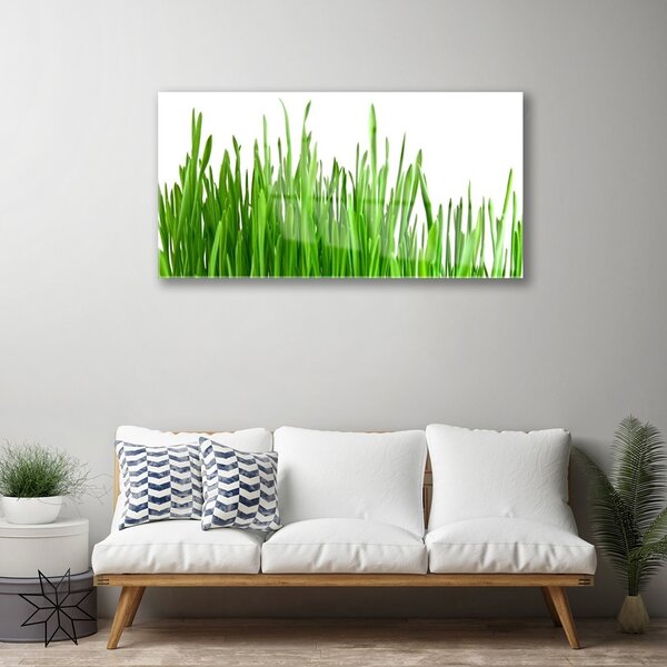Quadro in vetro Erba Pianta Natura 100x50 cm 2 appendini