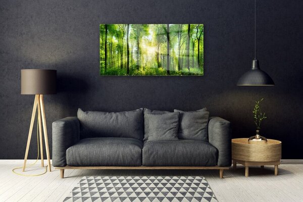 Quadro vetro Foresta Natura Alberi 100x50 cm 2 appendini