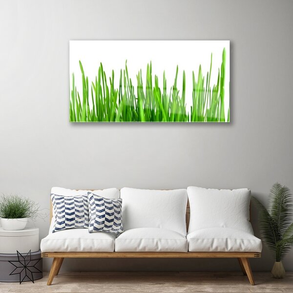 Quadro su vetro Erba Pianta Natura 100x50 cm 2 appendini