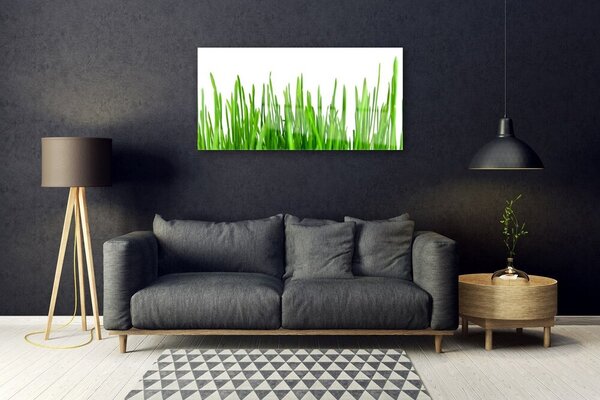 Quadro su vetro Erba Pianta Natura 100x50 cm 2 appendini