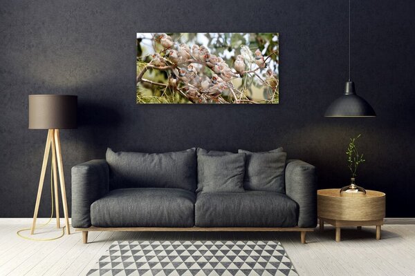 Quadro in vetro Uccelli Animali 100x50 cm 2 appendini