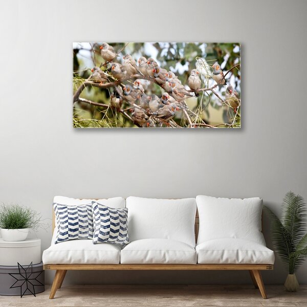 Quadro in vetro Uccelli Animali 100x50 cm 2 appendini