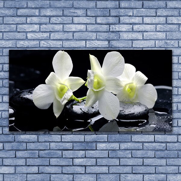 Quadro su tela Fiore di orchidea bianca 100x50 cm