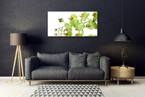 Quadro in vetro Fiori Pianta naturale 100x50 cm 2 appendini
