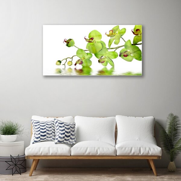 Quadro in vetro Fiori Pianta naturale 100x50 cm 2 appendini