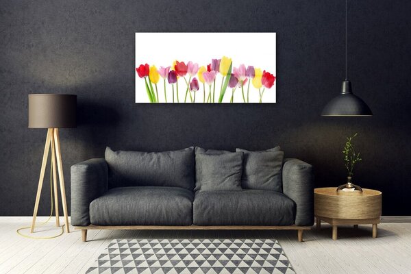 Quadro in vetro Tulipani Fiori Pianta 100x50 cm