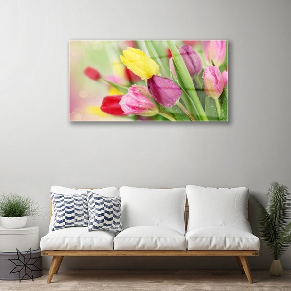 Quadro su vetro Tulipani Fiori Pianta 100x50 cm 2 appendini