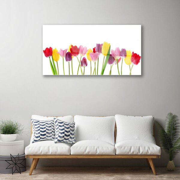 Quadro in vetro Tulipani Fiori Pianta 100x50 cm