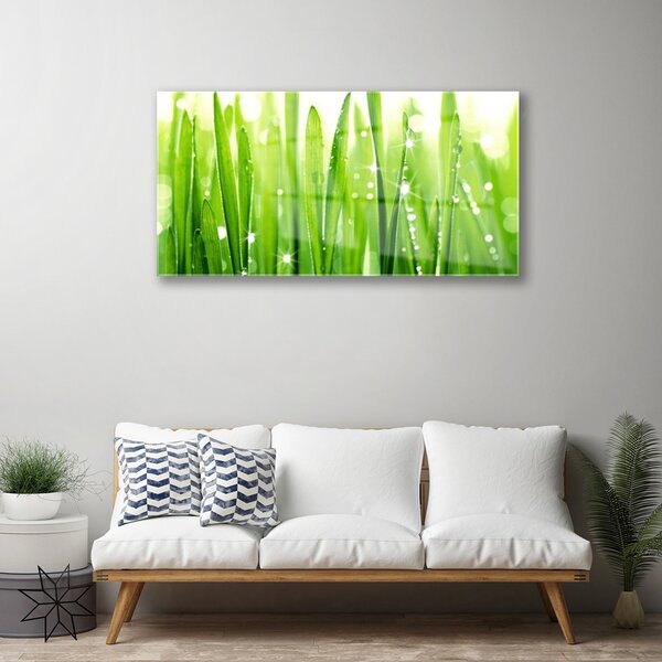 Quadro in vetro Erba Pianta Natura 100x50 cm 2 appendini