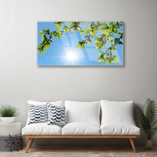 Quadro di vetro Sole Natura 100x50 cm 2 appendini