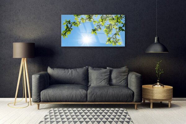 Quadro di vetro Sole Natura 100x50 cm 2 appendini