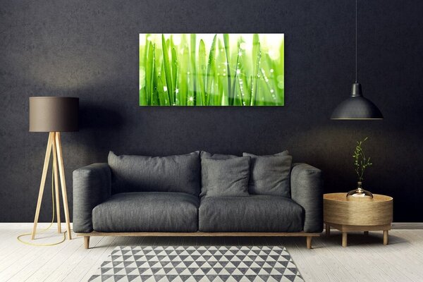 Quadro in vetro Erba Pianta Natura 100x50 cm 2 appendini