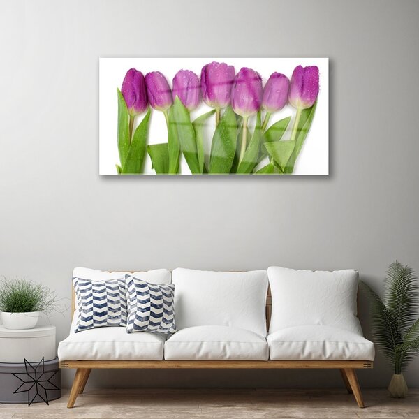Quadro su vetro Tulipani Fiori Pianta 100x50 cm 2 appendini