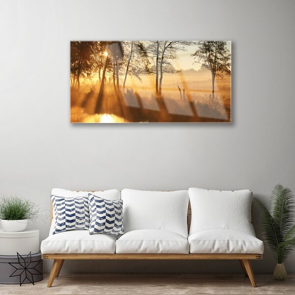 Quadro su vetro Alberi della natura 100x50 cm 2 appendini