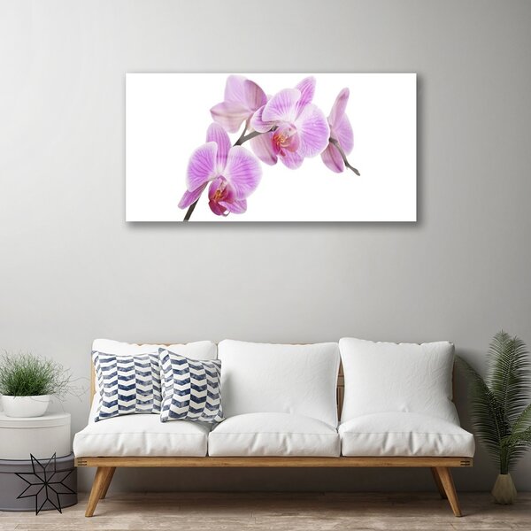 Quadro in vetro Fiori Pianta naturale 100x50 cm 2 appendini