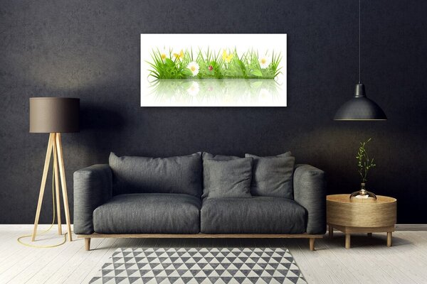 Quadro su vetro Erba Natura Pianta 100x50 cm 2 appendini