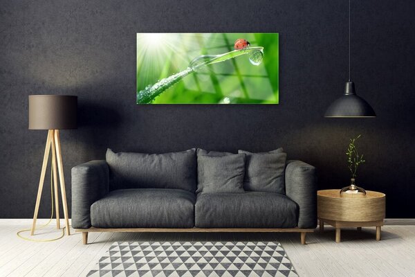 Quadro in vetro Erba coccinella Natura 100x50 cm 2 appendini