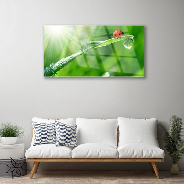 Quadro in vetro Erba coccinella Natura 100x50 cm 2 appendini