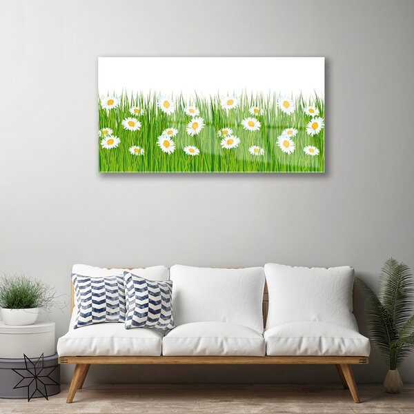 Quadro su vetro Erba margherita Natura 100x50 cm 2 appendini