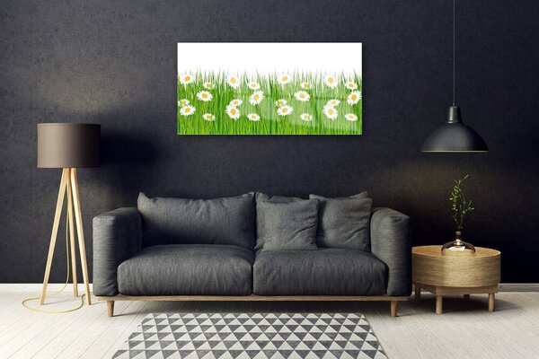 Quadro su vetro Erba margherita Natura 100x50 cm 2 appendini