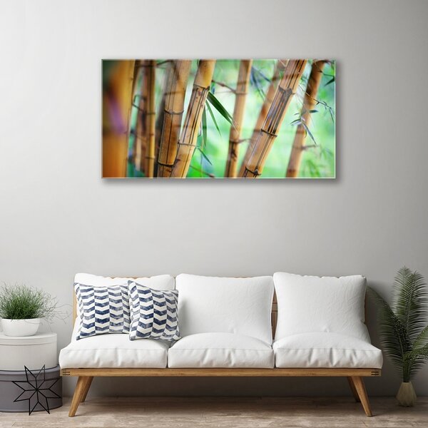 Quadro in vetro Bambù Pianta Naturale 100x50 cm 2 appendini