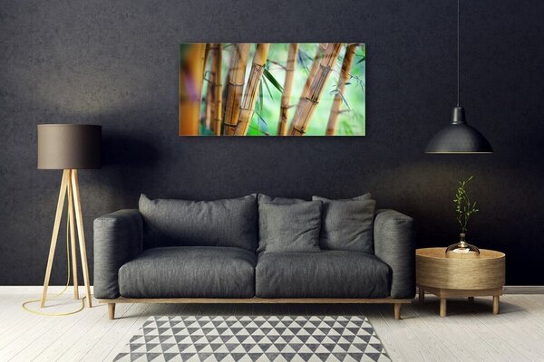 Quadro in vetro Bambù Pianta Naturale 100x50 cm 2 appendini